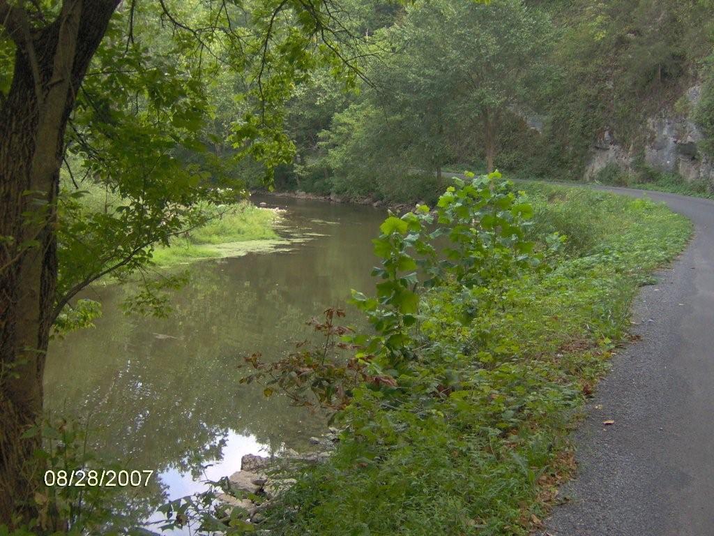 448 Acres Russel County
